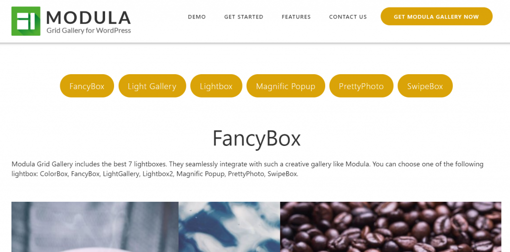 Modula – WordPress Image & Photo Gallery Plugin